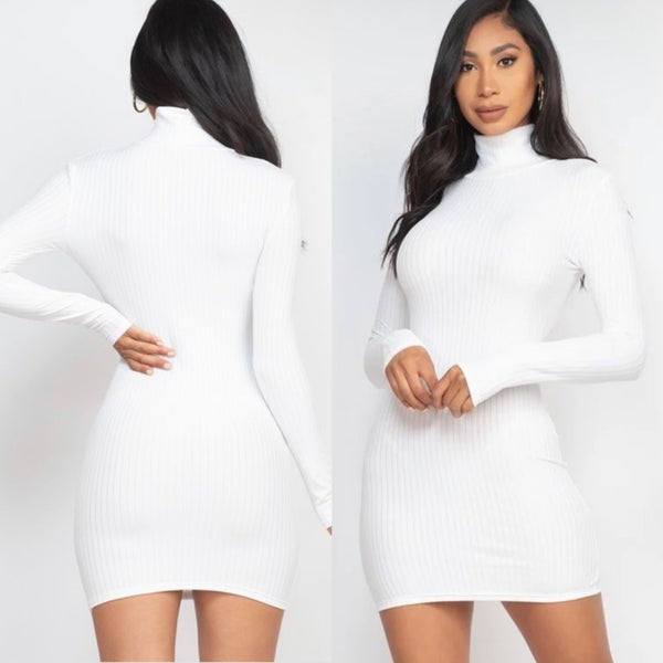 Crystal Curve Snow White Mock Neck Long Sleeve Ribbed Knit Mini Dress